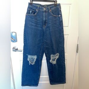 Wild Fable Highest Rise Baggy Jean